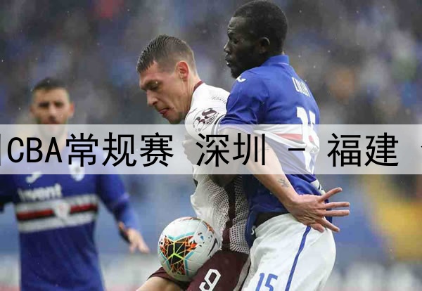 01月26日 德甲第19轮 弗赖堡vs拜仁慕尼黑 全场录像