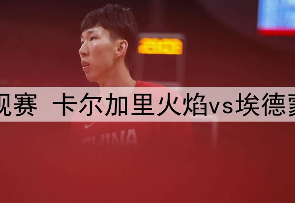 2025年3月31日 NBA常规赛 老鹰vs雄鹿 全场集锦