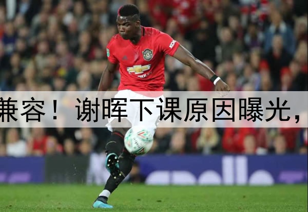 喝咖啡与吃铁锅炖不兼容！谢晖下课原因曝光，做到这一点是真男人