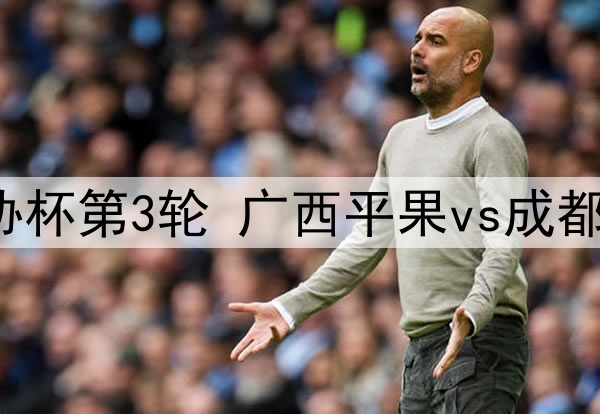 2024年5月21日 足协杯第3轮 广西平果vs成都蓉城 全场录像回放