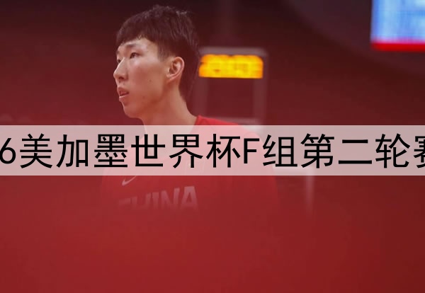 2026美加墨世界杯F组第二轮赛果